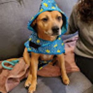 Meet your Posher, Tina